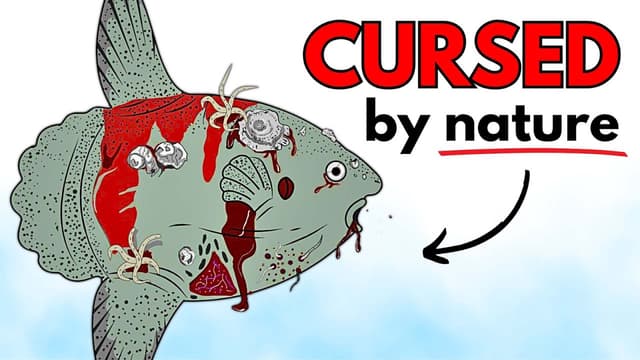 S01:E02 - Why It Suck to Be Born as a Sunfish