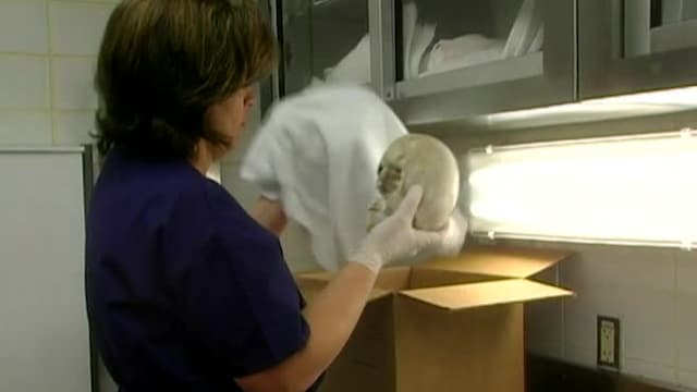 S01:E03 - The Mystery of the Haunted Crossing