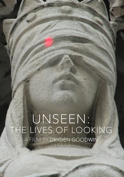 Unseen: The Lives of Looking