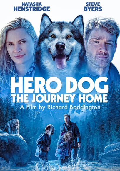 Hero Dog: The Journey Home