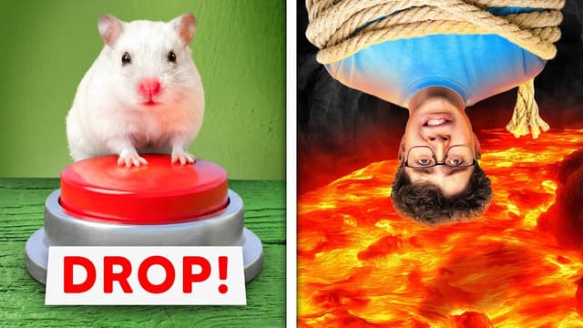 S01:E11 - Extreme Hamster Maze Challenge