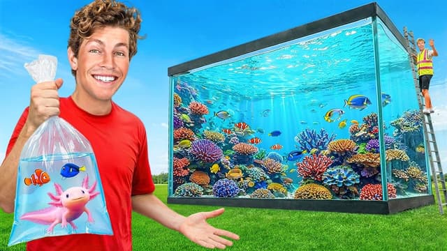 S03:E07 - Tiny vs Giant Fish Tanks