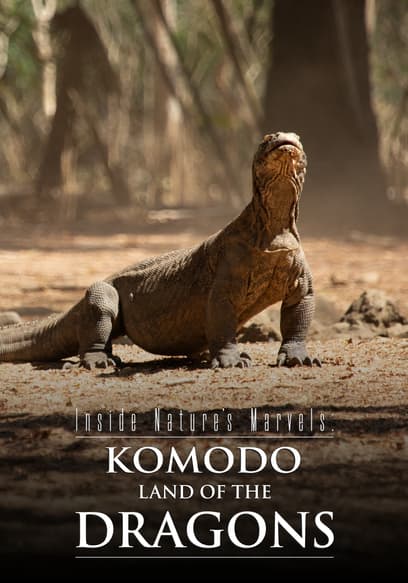 Inside Natures Marvels: Komodo Land of the Dragons poster