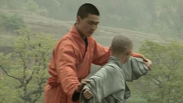 S01:E17 - Shaolin - Masters of Kung Fu