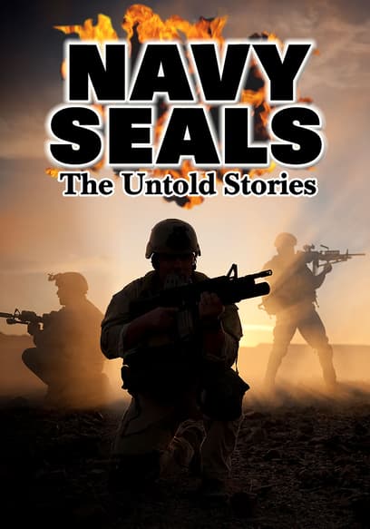 Navy SEALs: Untold Stories poster