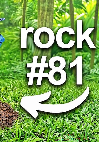 S02:E08 - I Flipped 100 Rocks in an Exotic Jungle, Here's What I Found poster