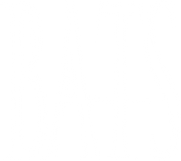 Bats