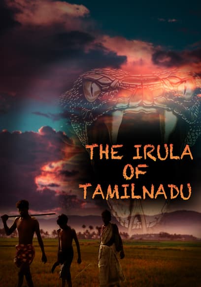 The Irula of Tamil Nadu