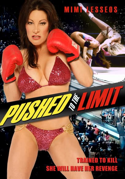 Pushed to the Limit poster