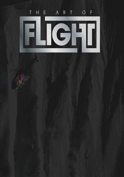 The Art of Flight