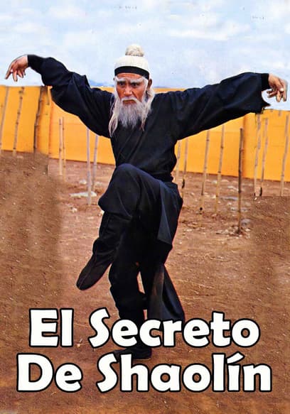 El Secreto De Shaolin (Doblado)