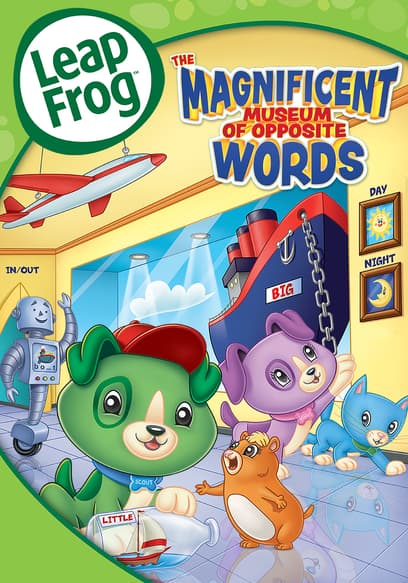 LeapFrog: The Magnificent Museum of Opposite Words