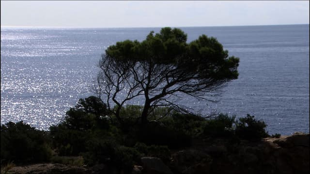 S01:E11 - Cyprus & Ibiza