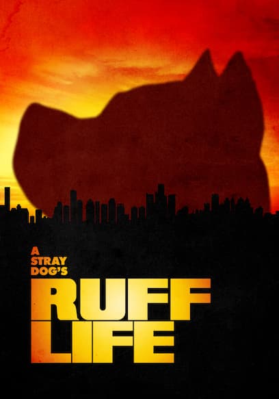 Ruff Life