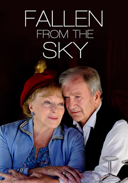 Fallen From the Sky poster