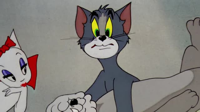 S09:E07 - Solid Serenade / Sorry Safari / Southbound Duckling