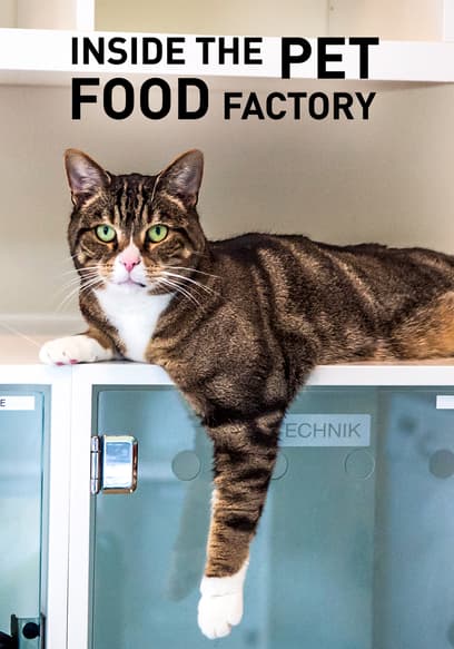 Inside the Pet Food Factory