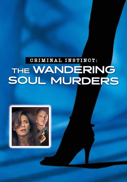 Criminal Instinct: The Wandering Soul Murders