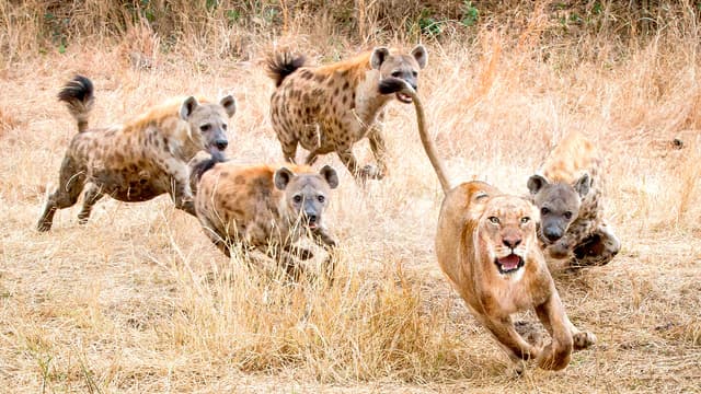 S01:E02 - Epic Enemies