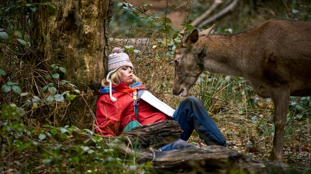 S01:E02 - Wild