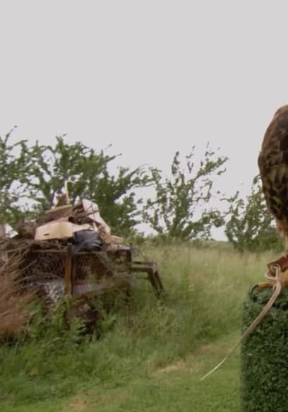 S01:E08 - Rufus the Hawk poster