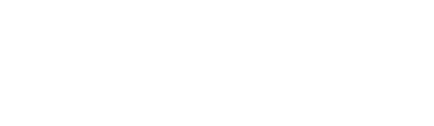 The Blackout Experiment