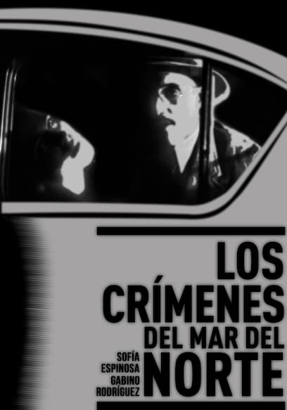 Los crímenes de Mar del Norte