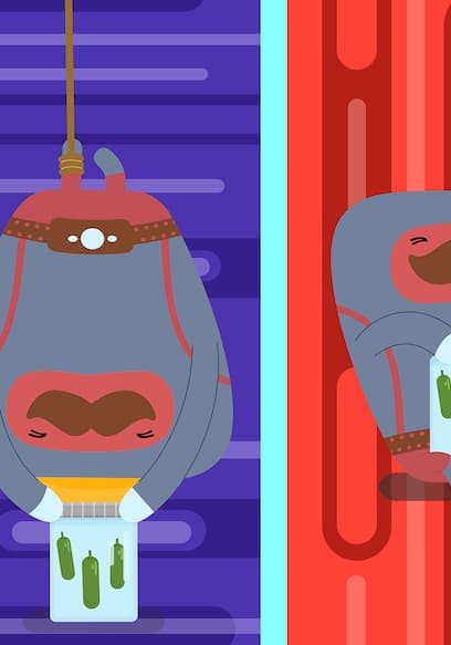 S01:E05 - Atomic Elevator / Atomic Chocolate / Atomic Stardust / Atomic Camping / Atomic Buckyball / Atomic Pickle poster