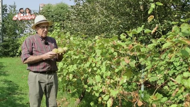 S01:É49 - S01:E49 - Episodio 49