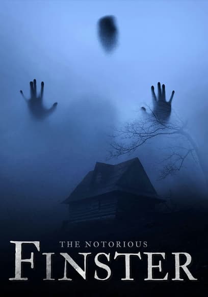 The Notorious Finster
