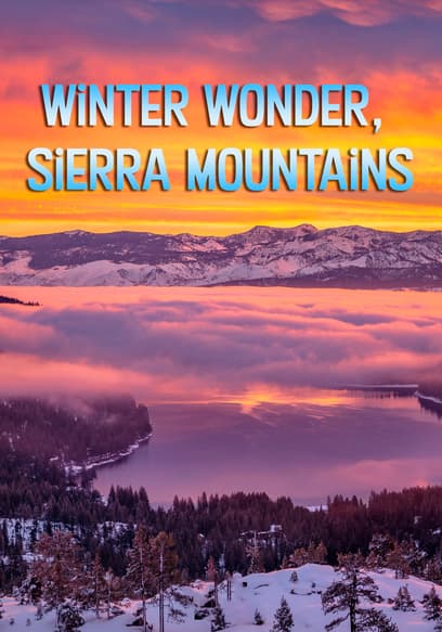 Winter Wonder, Sierra Mountains