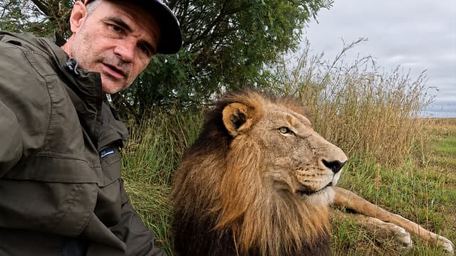 The Lion Whisperer