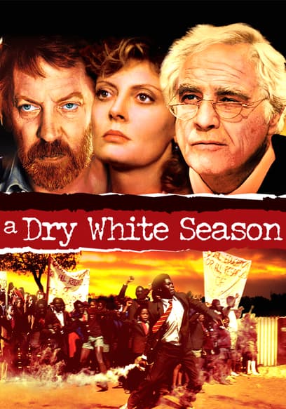 A Dry White Season