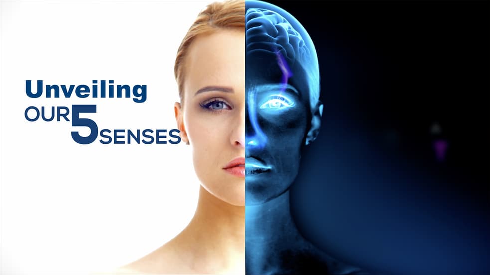 Watch Unveiling Our 5 Senses Streaming Online | Tubi Free TV