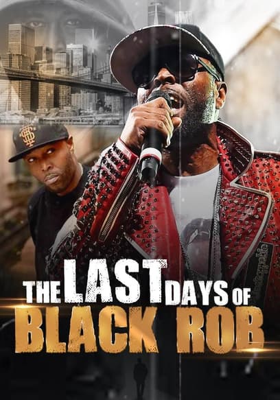 The Last Days of Black Rob poster