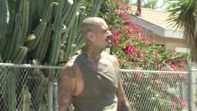 T03:C16 - S03:E16 - Episodio 16