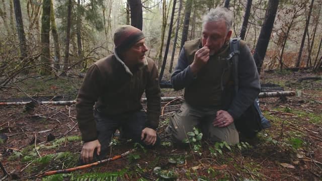 S01:E02 - Wild Ginger & Miner’s Lettuce