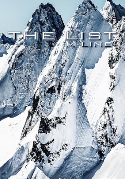 The List poster