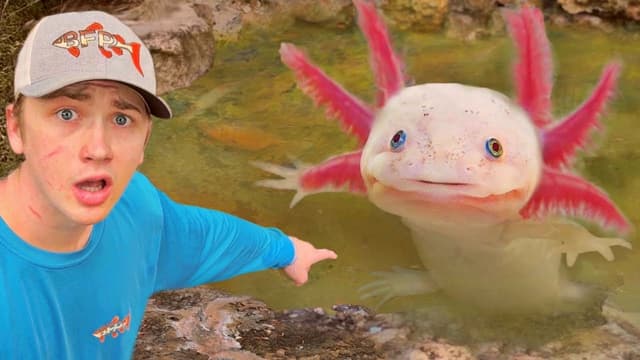 Bass Fishing Productions