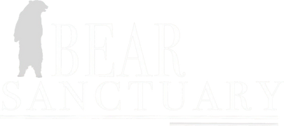 Bear Sanctuary