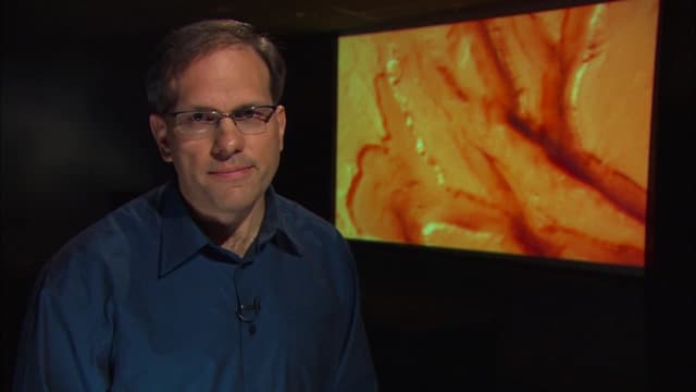 S01:E03 - Borderland: Red Dawn