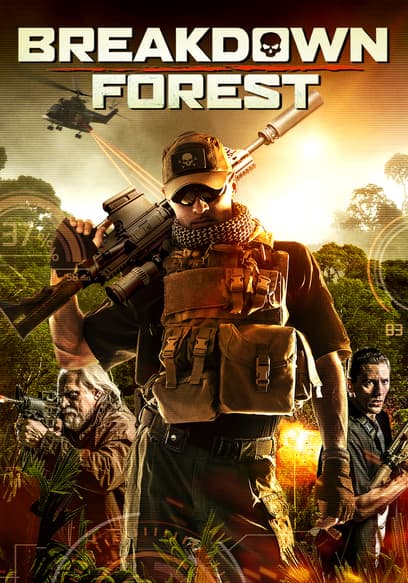 Breakdown Forest