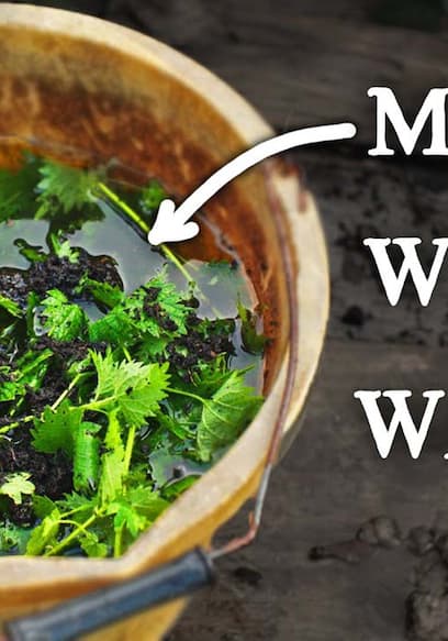 S02:E04 - The Magic of Weeds in Water & 5 Reasons Why I'm Not Growing Potatoes in Raised Beds poster