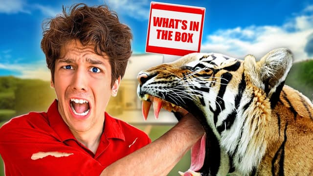 S01:E24 - What's in the Box Challenge