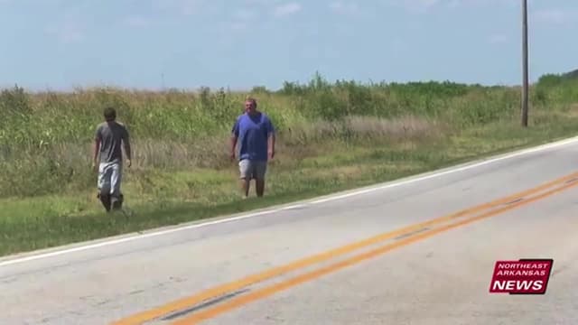 S01:E01 - Web of Lies