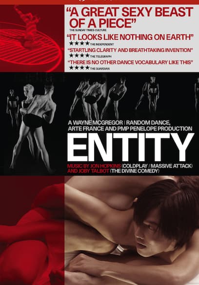 Entity