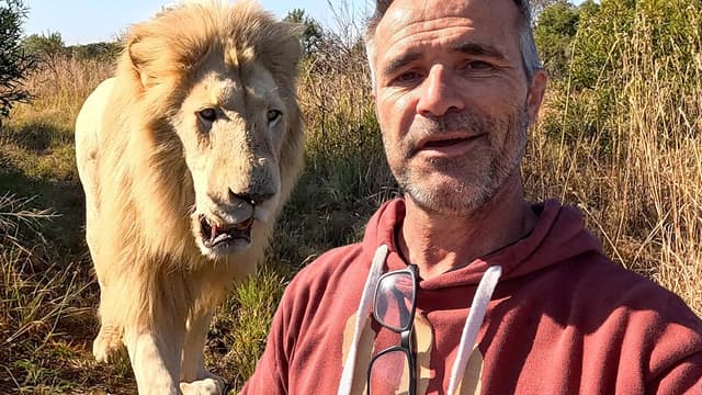 S01:E04 - Aggressive Lion or Loving Leader?