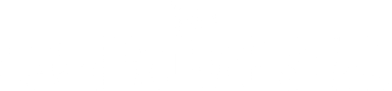 The Last Movie Star