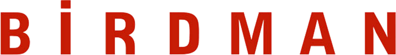 Birdman or (The Unexpected Virtue of Ignorance)