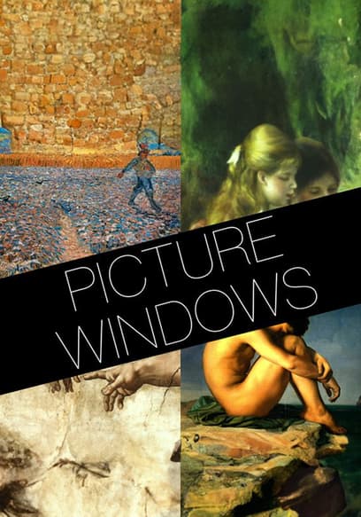 Picture Windows poster